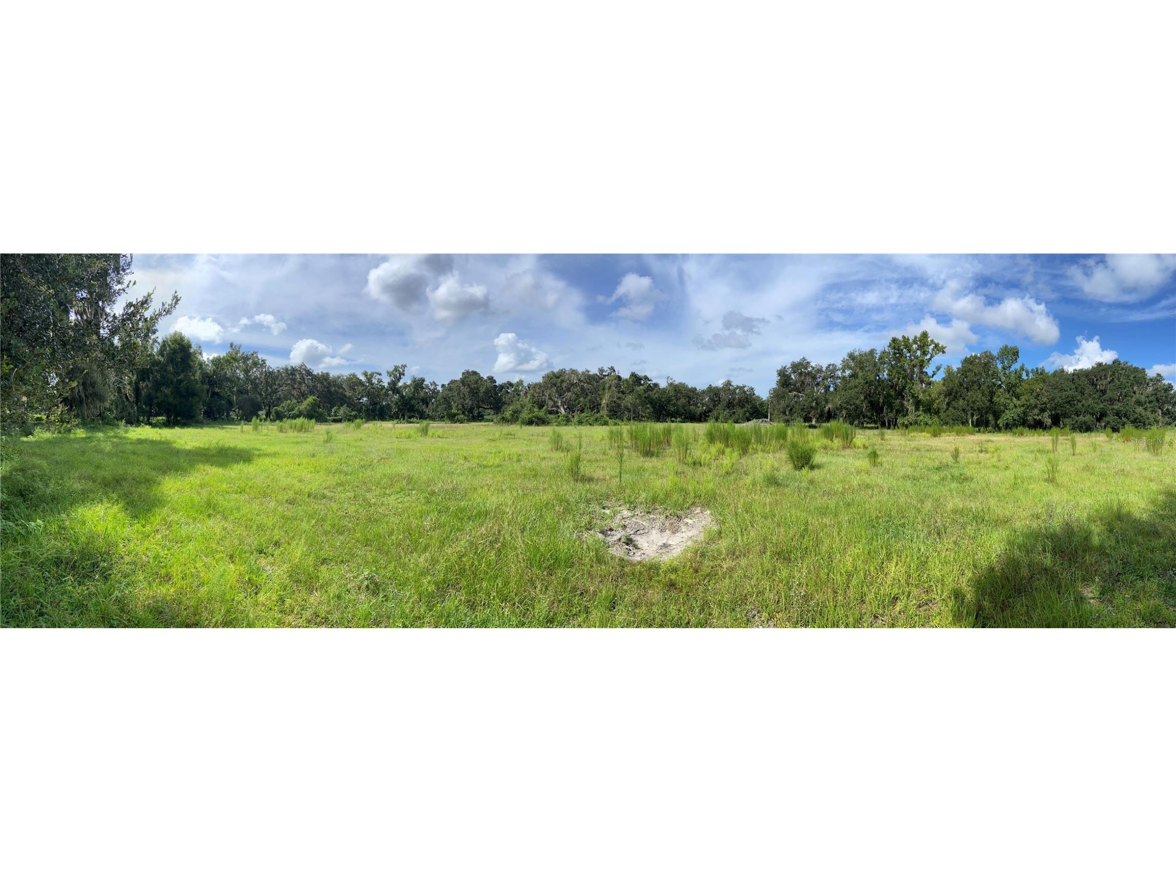 Cr 772c Webster FL 33597 - GIDDON LAKE O6342233 image19