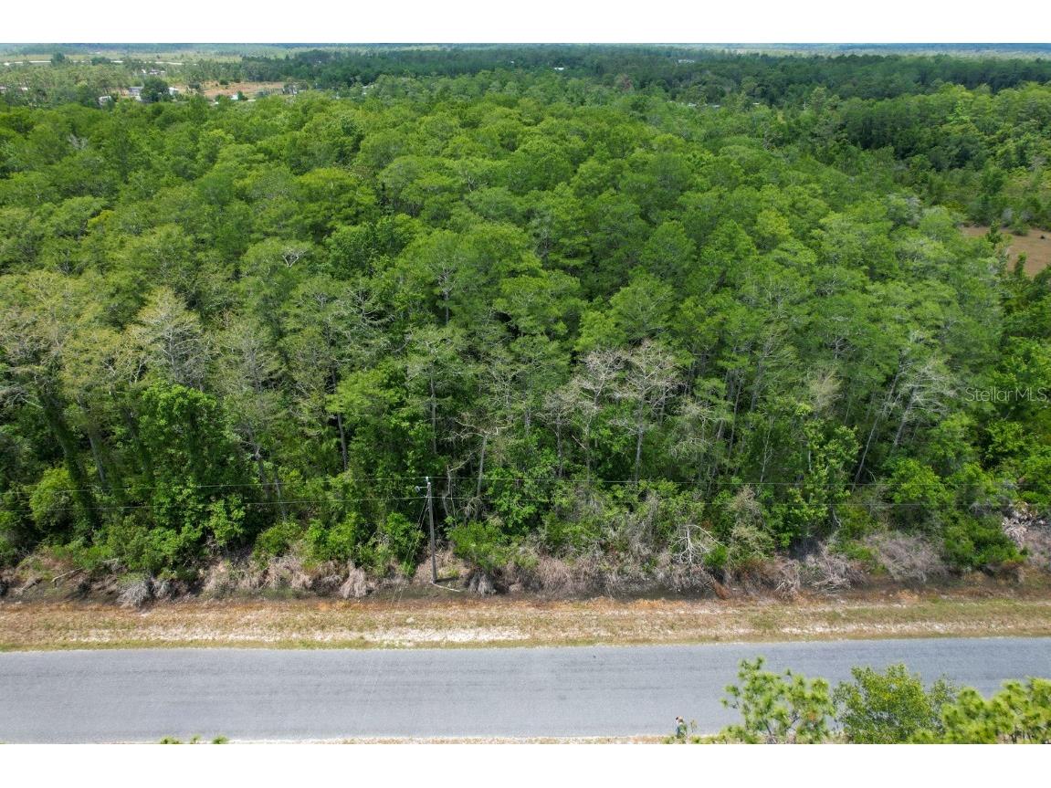 Crabgrass Road Saint Cloud FL 34773 S5105116 image1