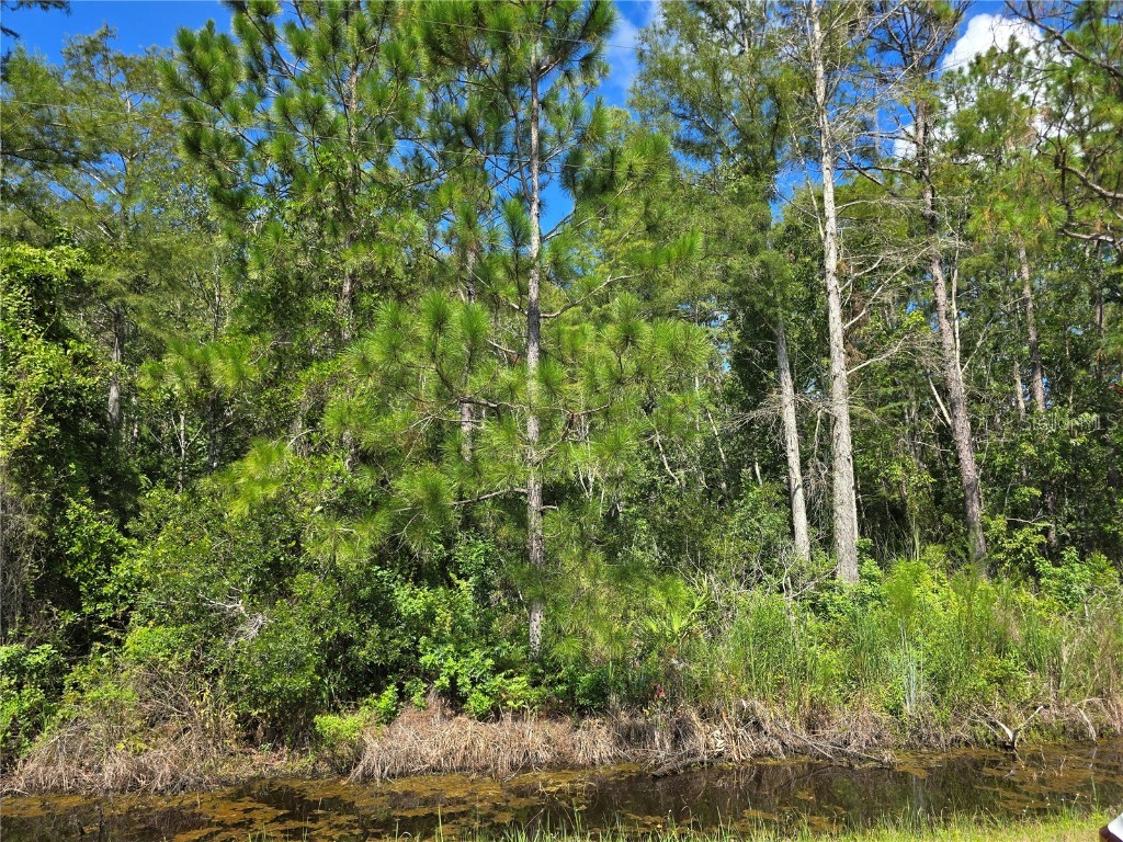 Crabgrass Road Saint Cloud FL 34773 O6367736 image2