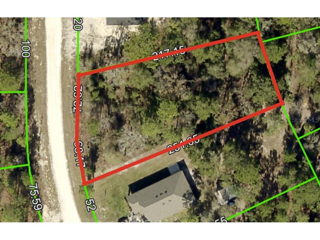 Crane Road Brooksville FL 34614 W7873453 image1