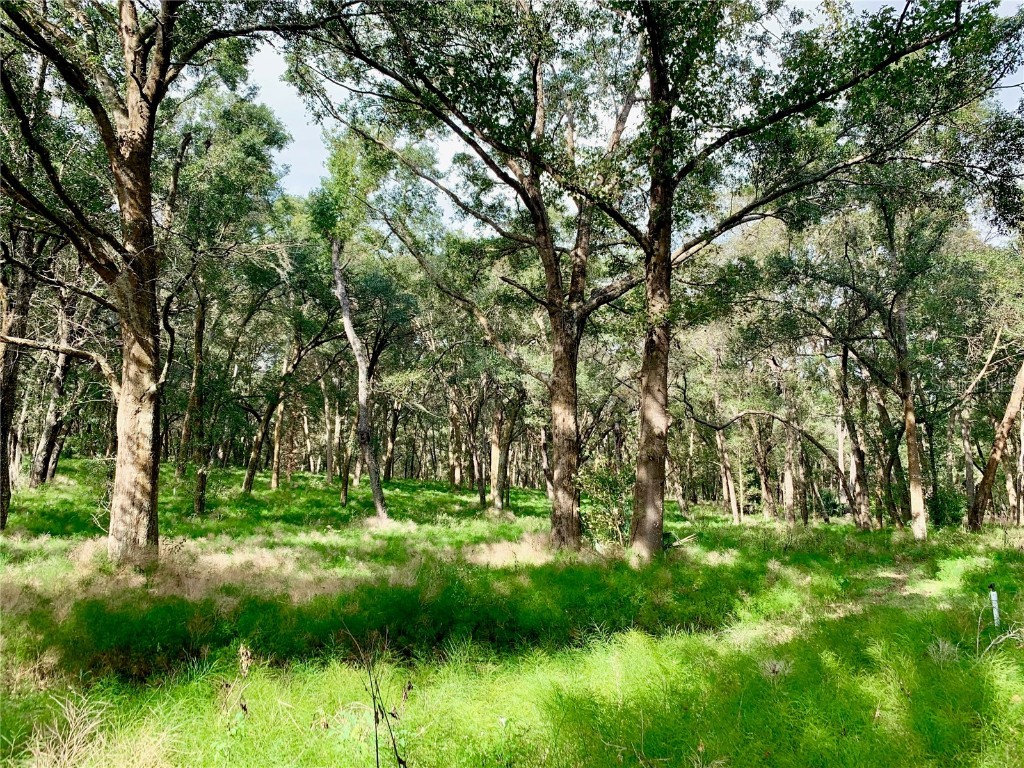 Crazy Horse Lane Eustis FL 32736 G5051548 image1