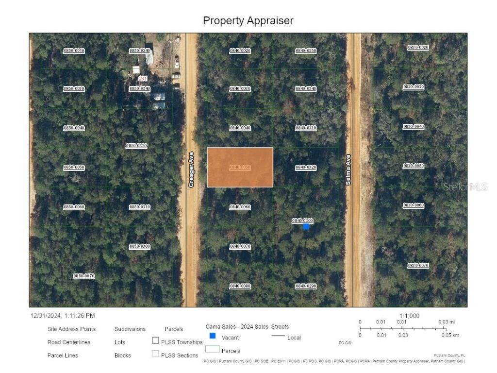 Creager Avenue Interlachen FL 32148 A4633889 image1