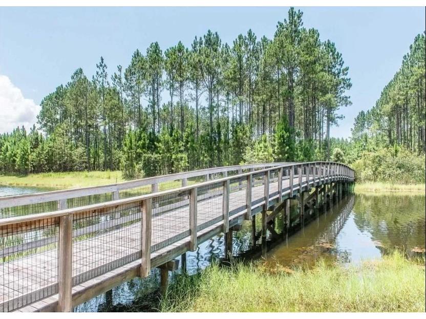 Creek Pines Circle Wewahitchka FL 32465 A4554845 image1