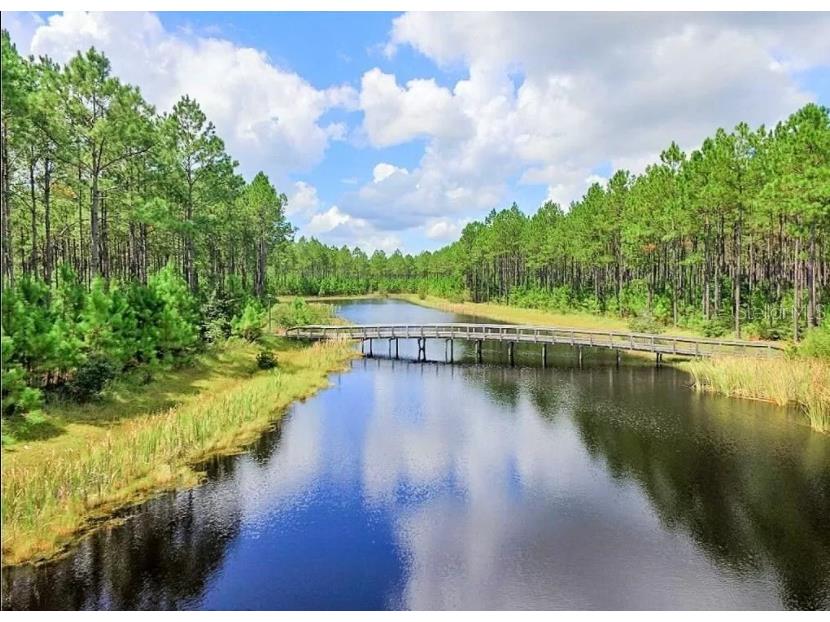 Creek Pines Circle Wewahitchka FL 32465 A4554845 image3