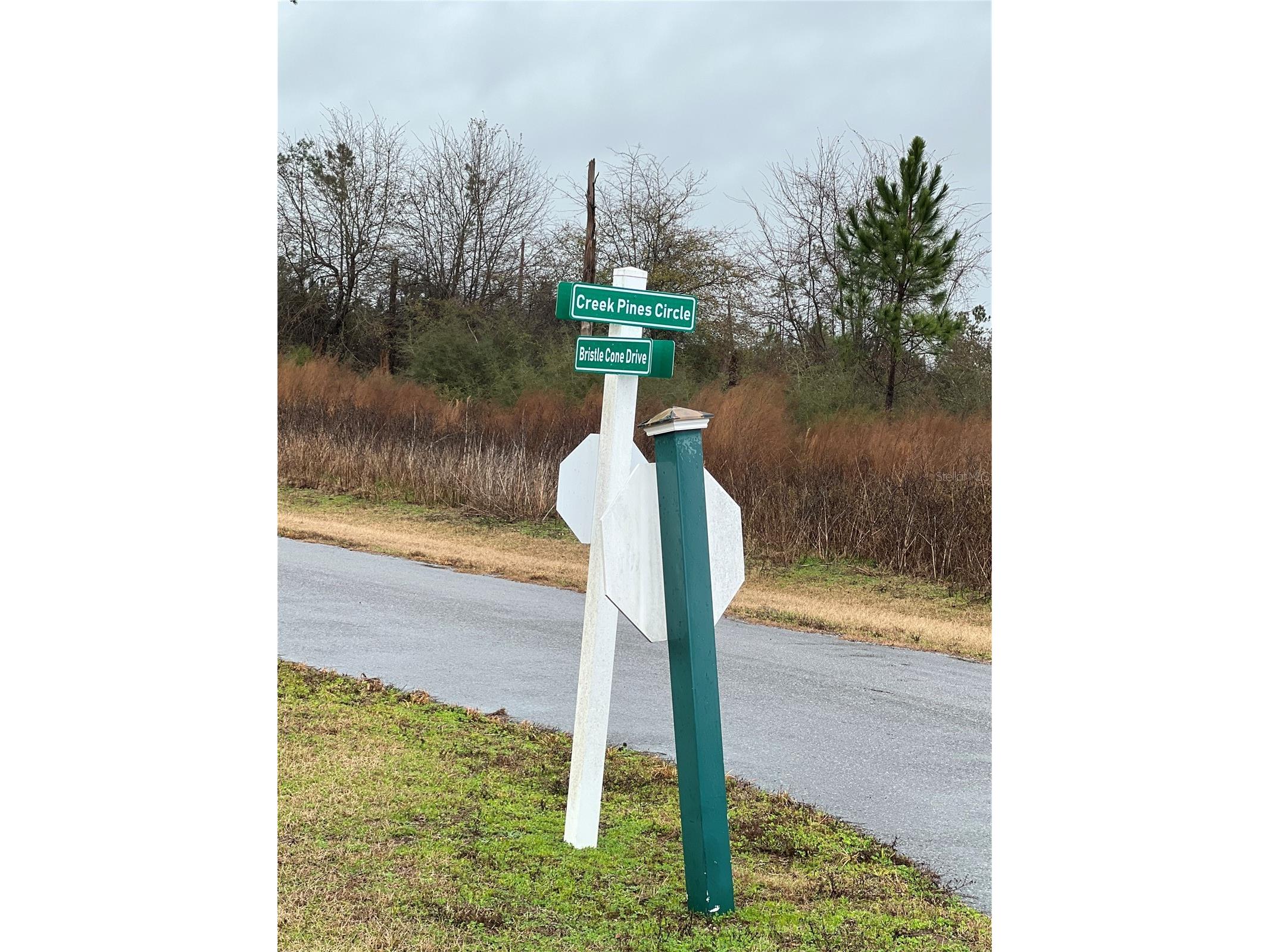 Creek Pines Circle Wewahitchka FL 32465 A4554845 image4