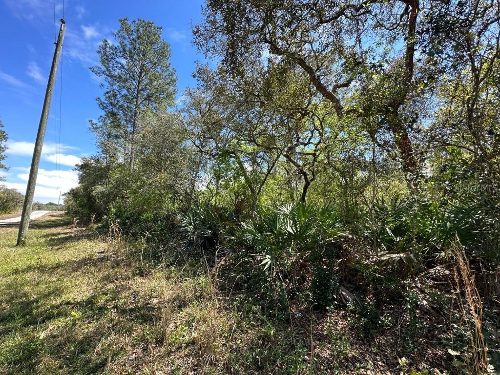 Creekstone Street Webster FL 33597 U8194213 image1