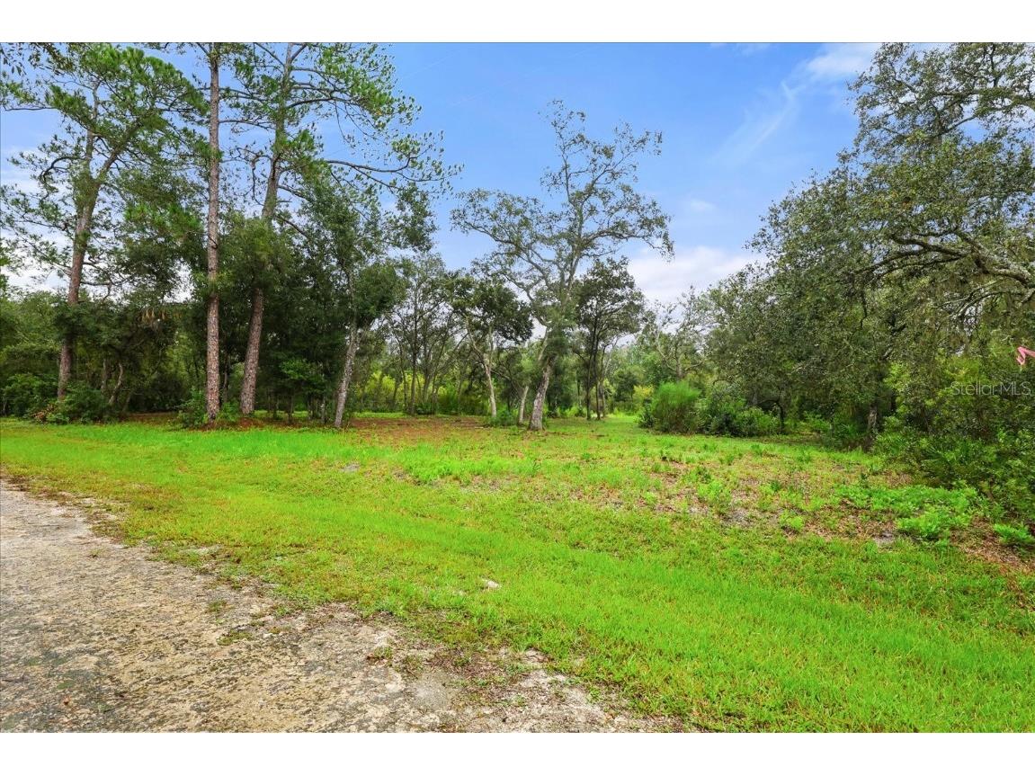 Creekstone Street Webster FL 33597 O6344197 image1