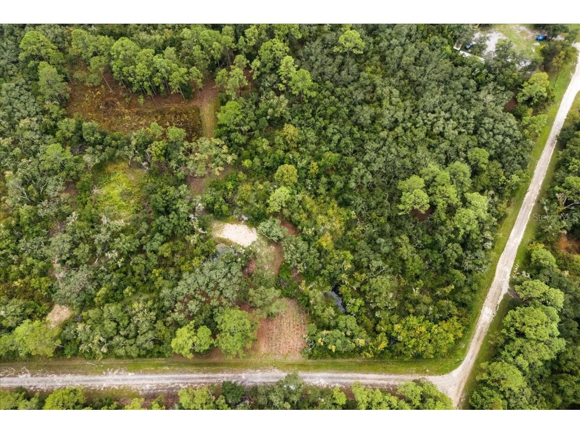 Creekstone Street Webster FL 33597 O6344197 image10