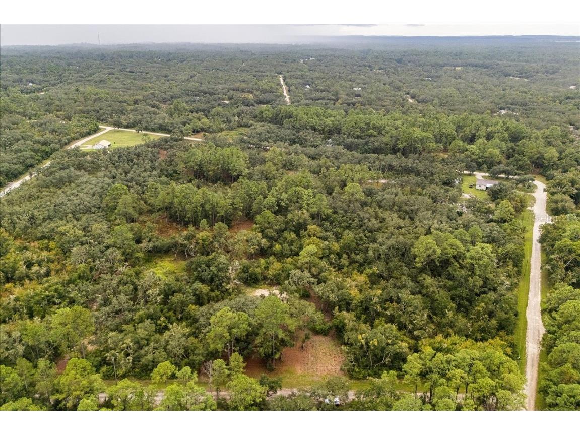 Creekstone Street Webster FL 33597 O6344197 image11