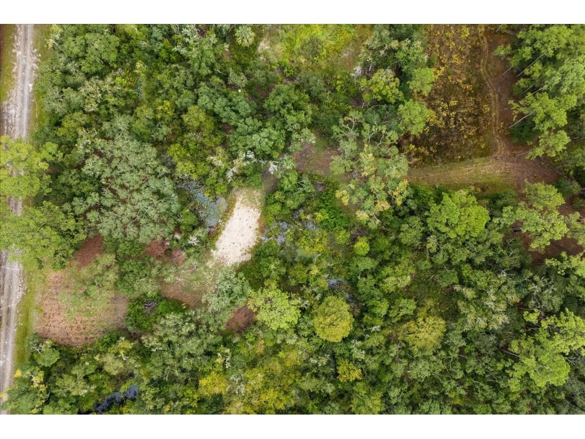 Creekstone Street Webster FL 33597 O6344197 image12