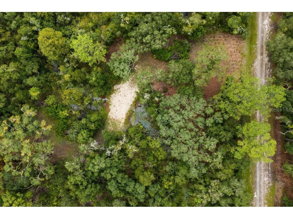 Creekstone Street Webster FL 33597 O6344197 image13