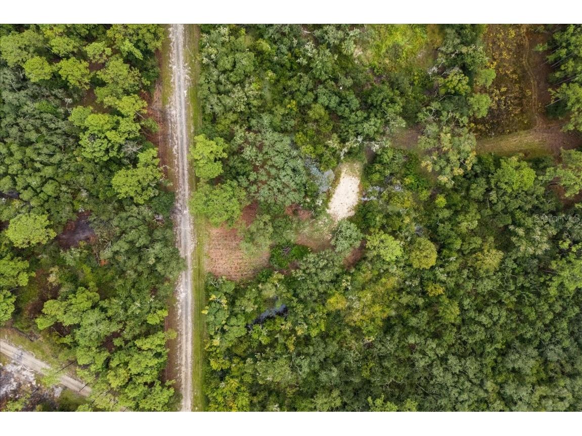 Creekstone Street Webster FL 33597 O6344197 image14