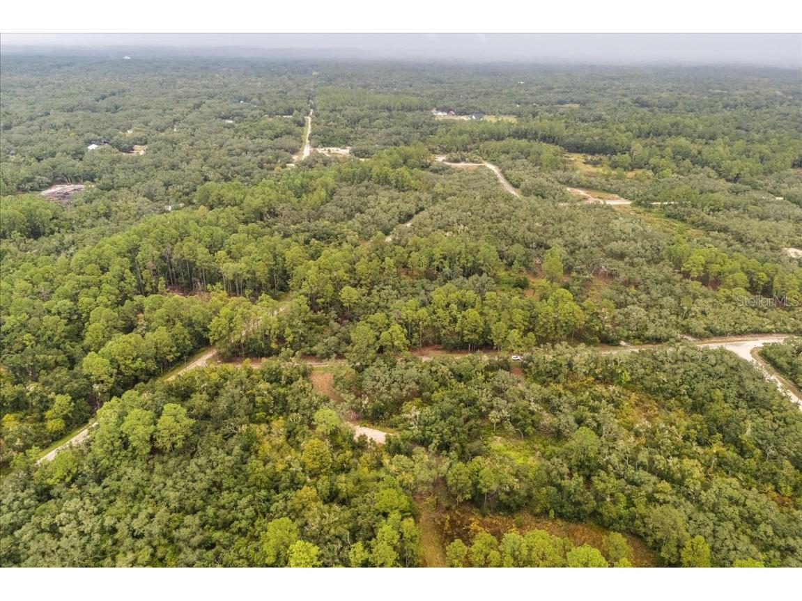 Creekstone Street Webster FL 33597 O6344197 image15