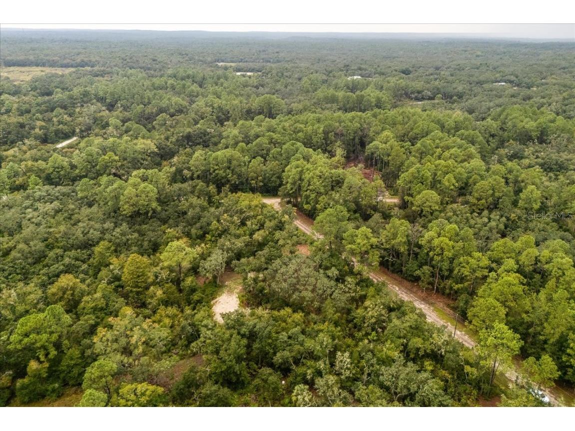 Creekstone Street Webster FL 33597 O6344197 image16