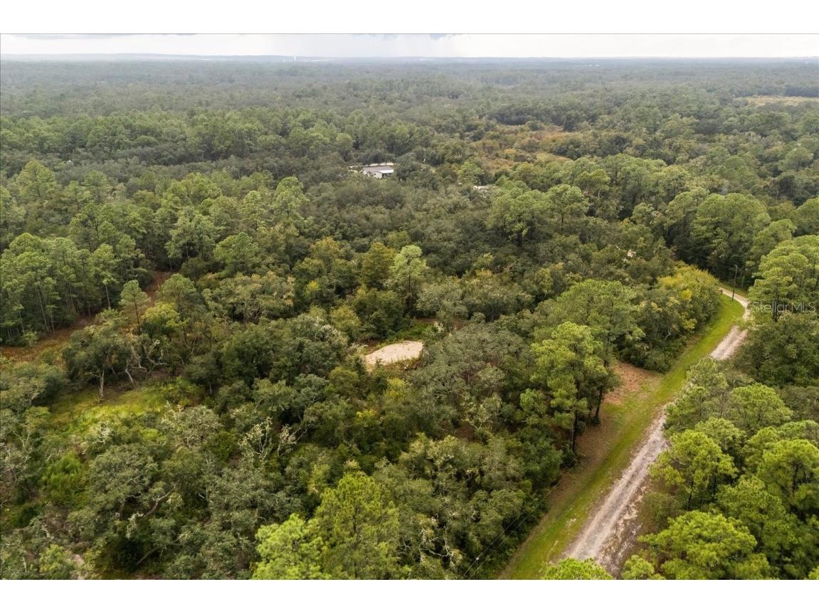 Creekstone Street Webster FL 33597 O6344197 image17