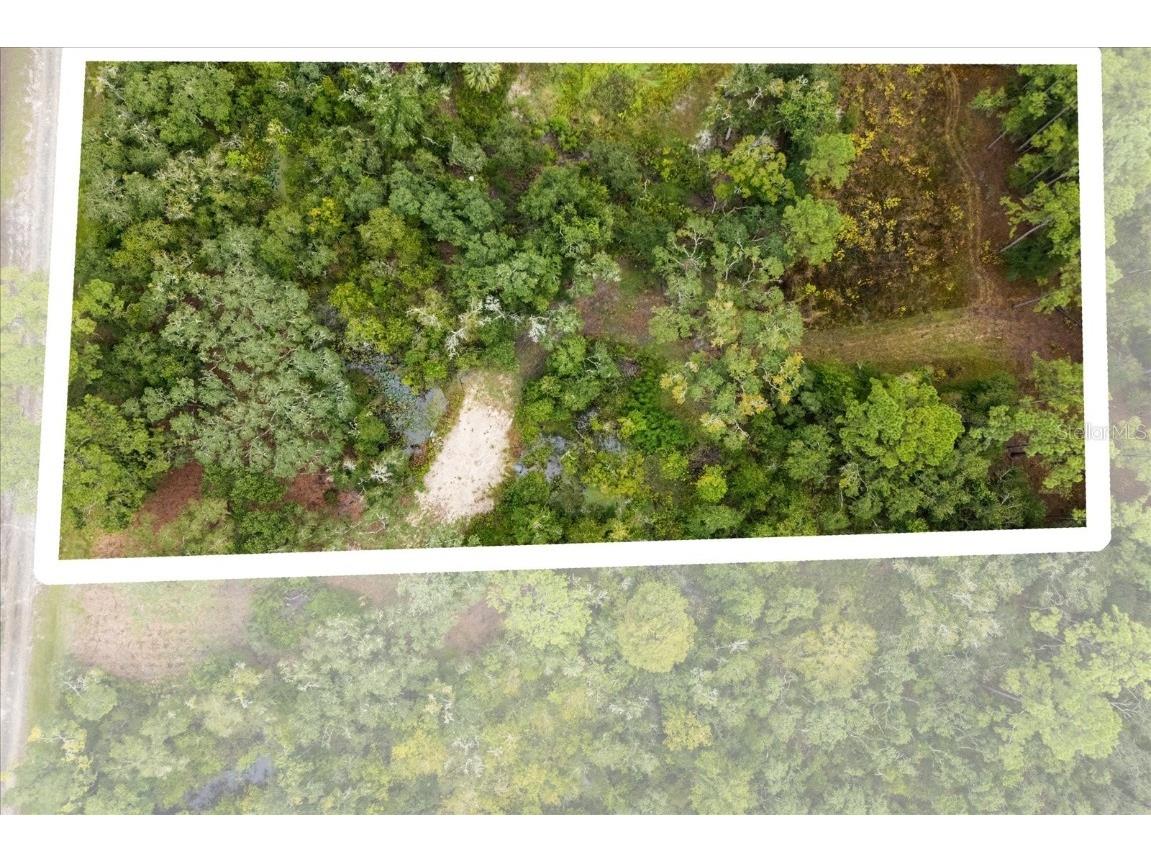 Creekstone Street Webster FL 33597 O6344197 image18