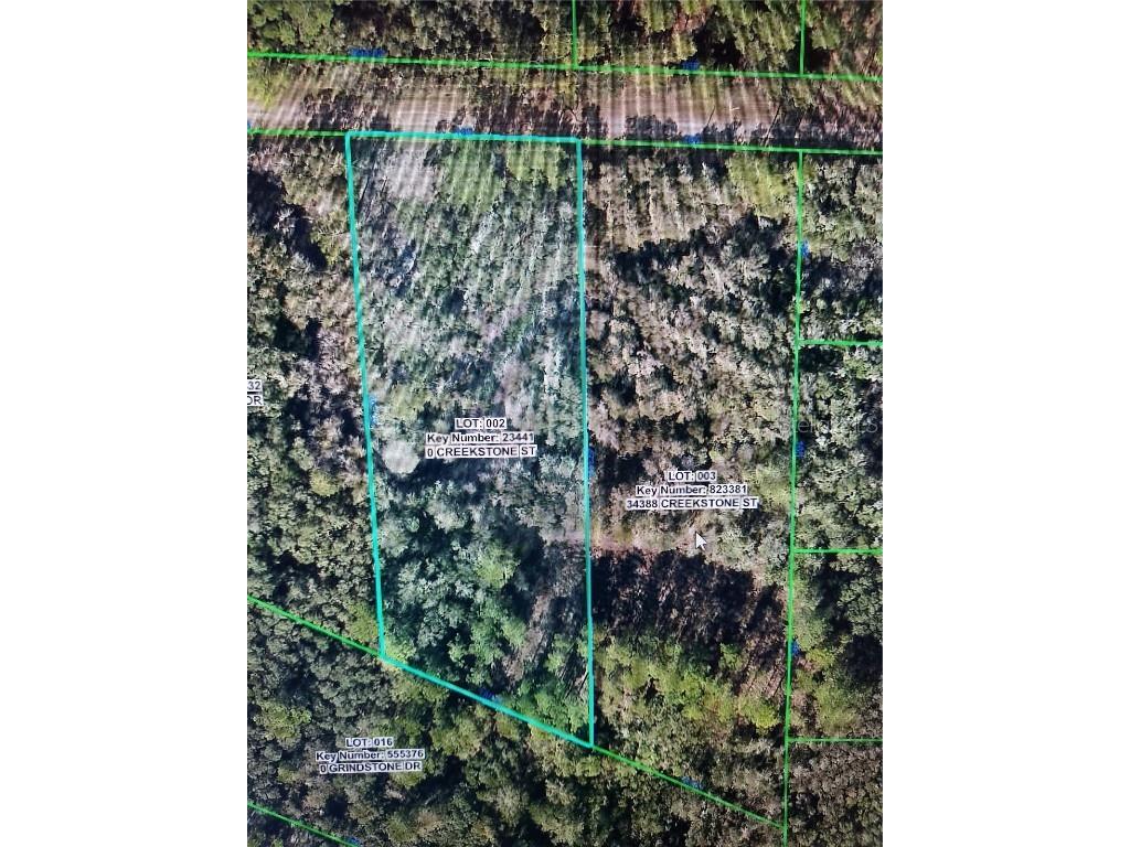 Creekstone Street Webster FL 33597 O6344197 image19