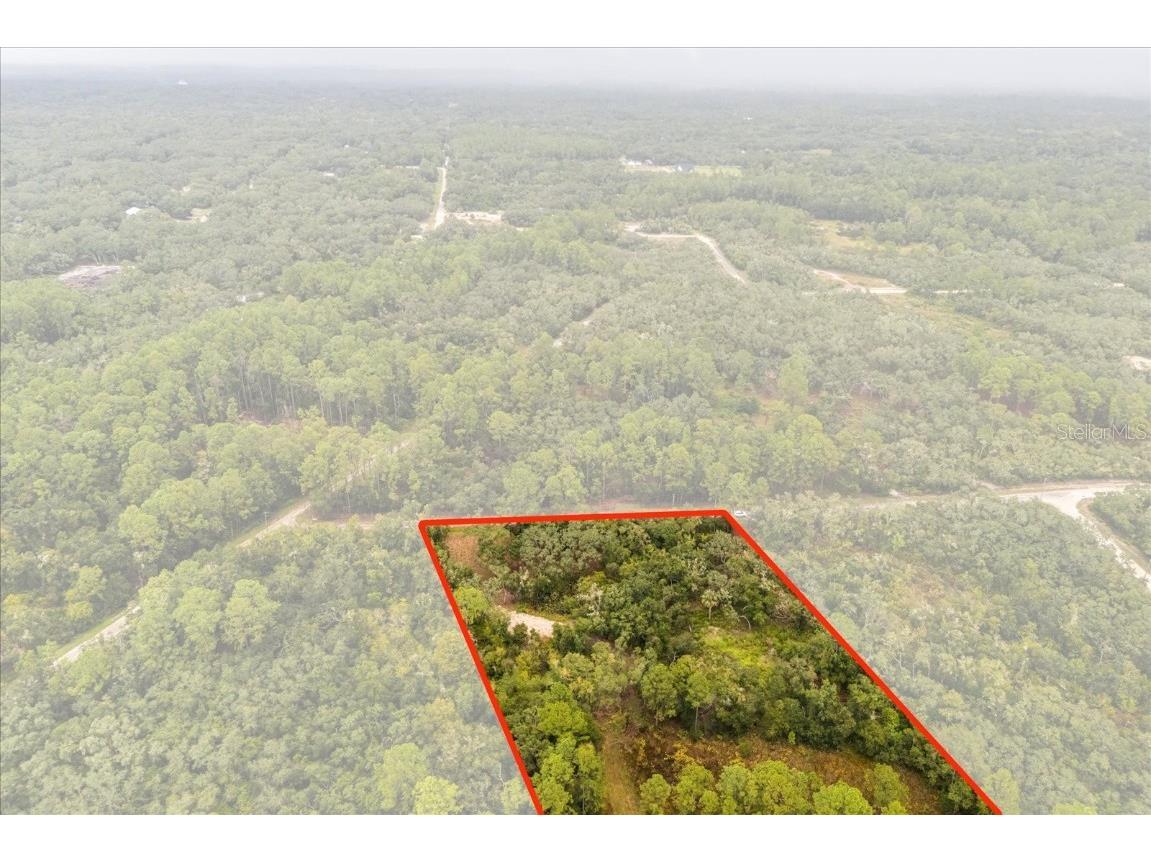 Creekstone Street Webster FL 33597 O6344197 image2