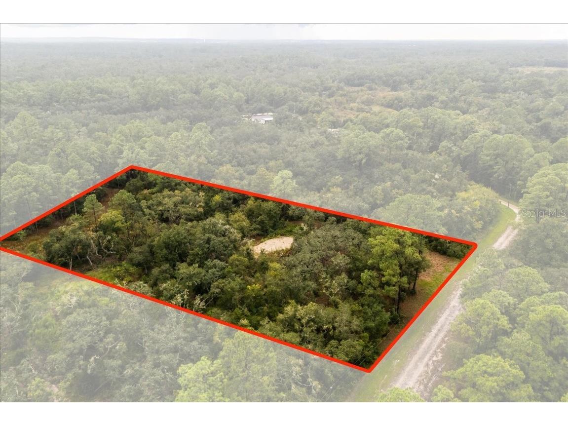 Creekstone Street Webster FL 33597 O6344197 image3