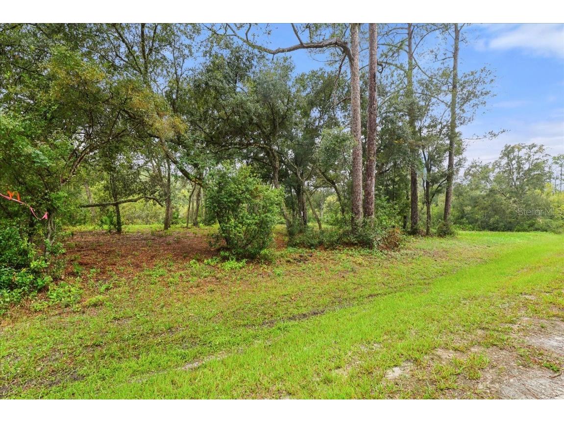 Creekstone Street Webster FL 33597 O6344197 image4