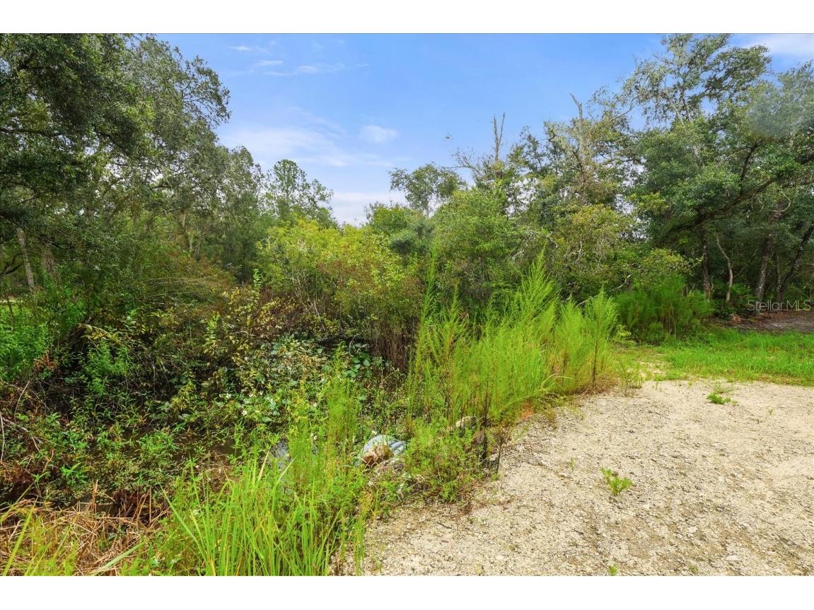 Creekstone Street Webster FL 33597 O6344197 image5