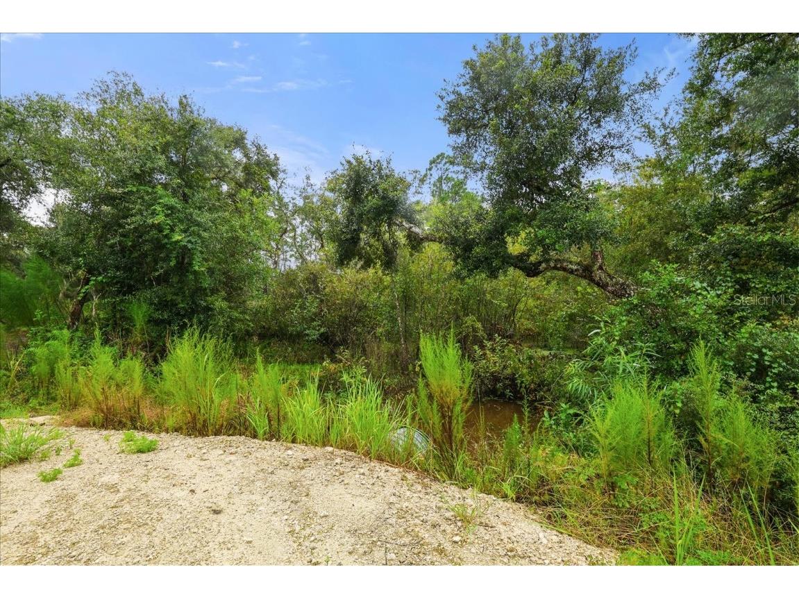 Creekstone Street Webster FL 33597 O6344197 image6