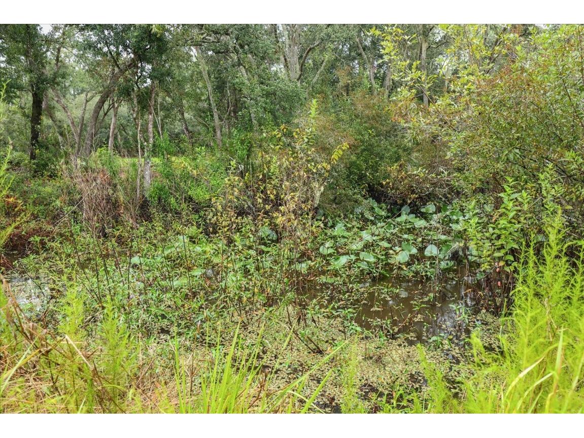 Creekstone Street Webster FL 33597 O6344197 image7