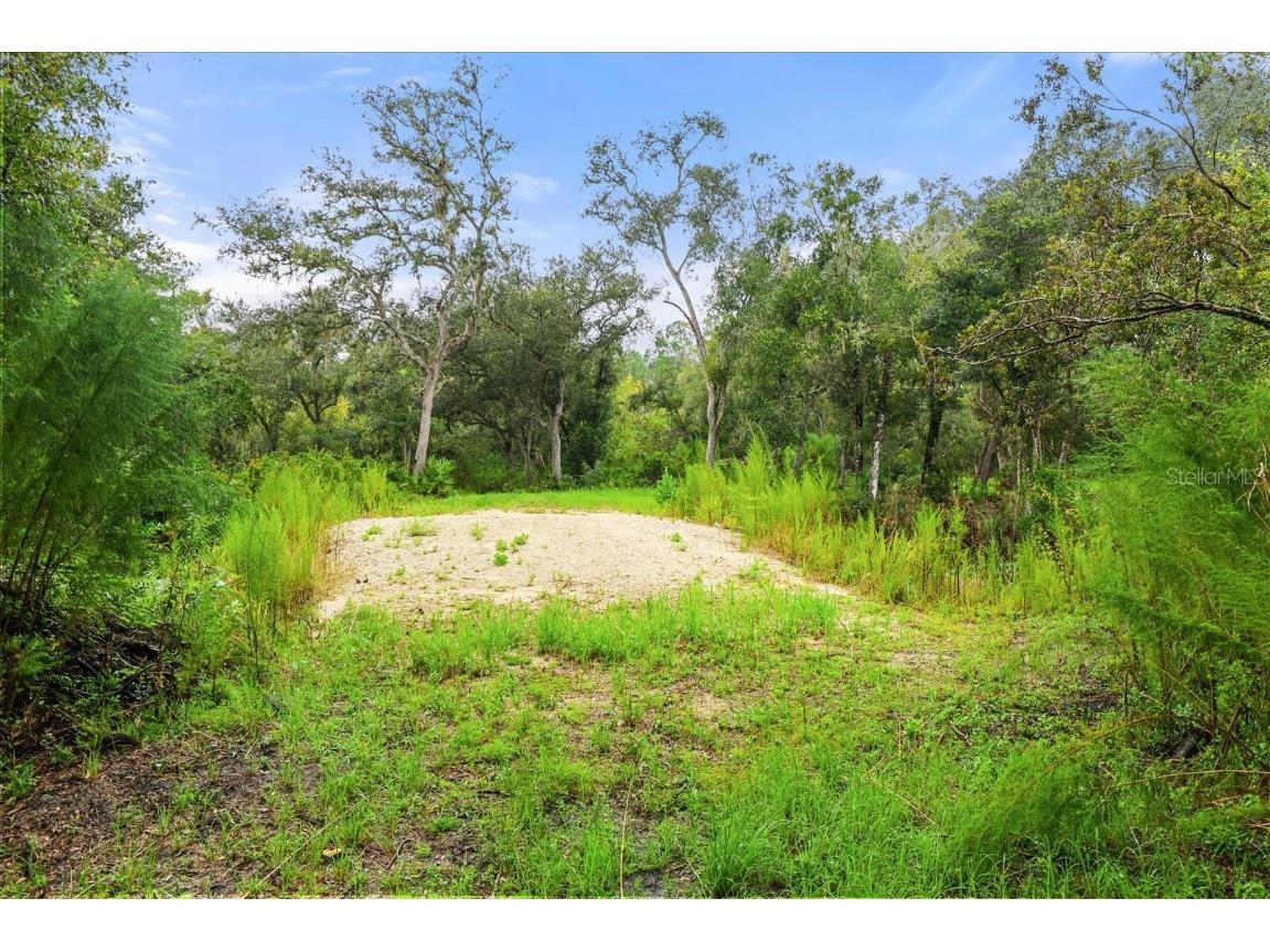 Creekstone Street Webster FL 33597 O6344197 image8