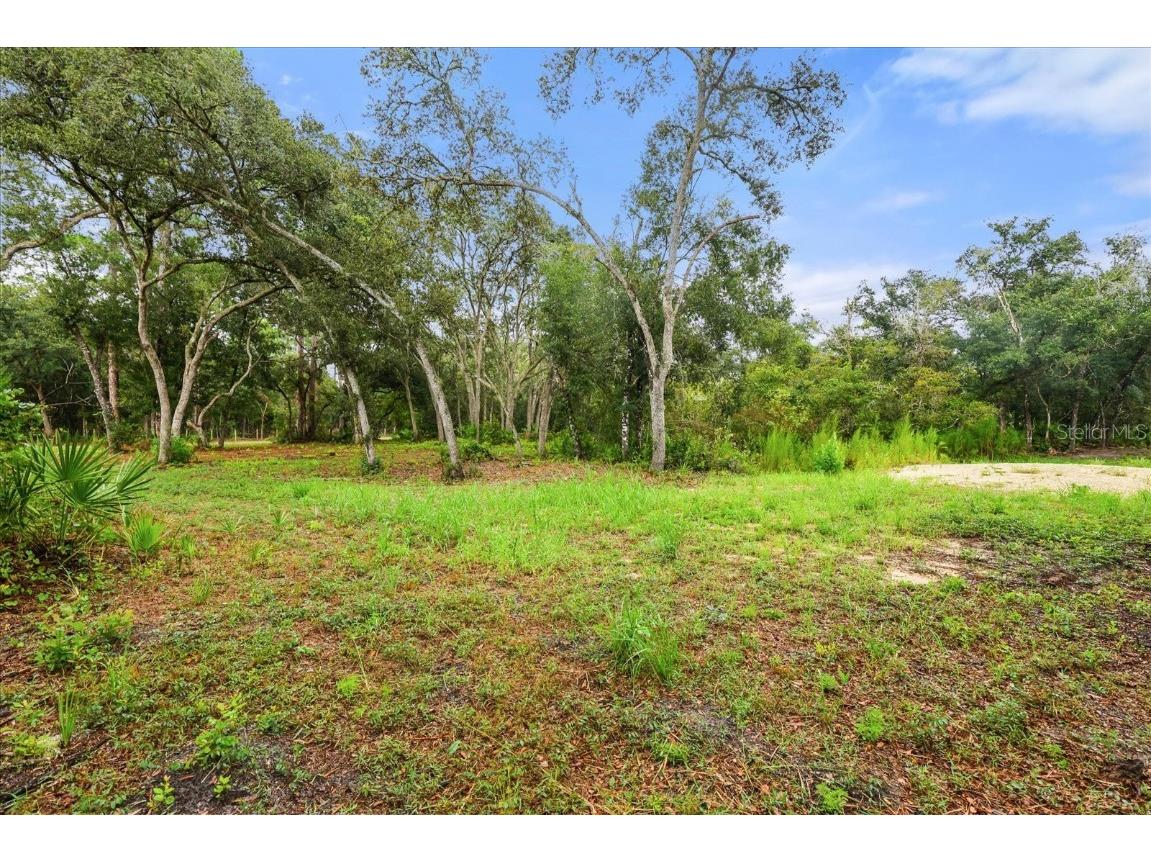 Creekstone Street Webster FL 33597 O6344197 image9