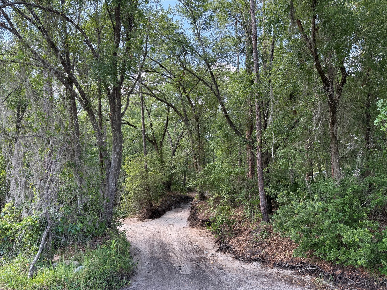 Creekwood Run Lakeland FL 33809 L4960811 image2