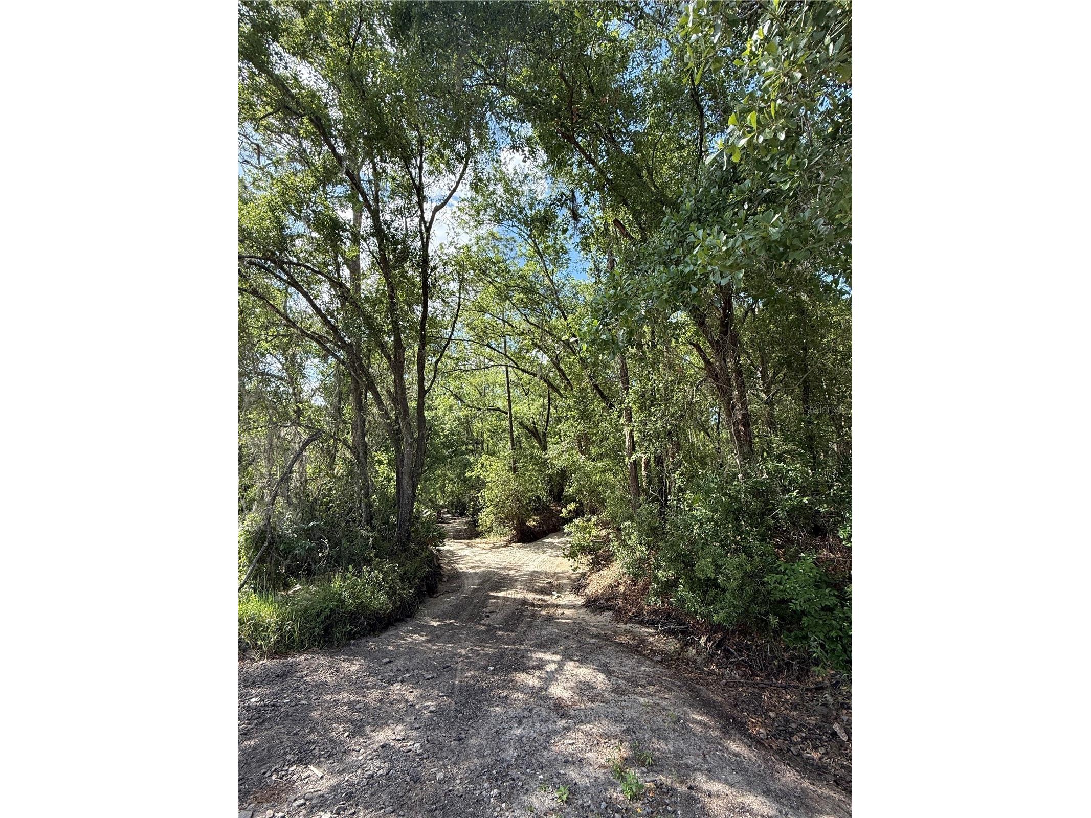 Creekwood Run Lakeland FL 33809 L4960811 image3