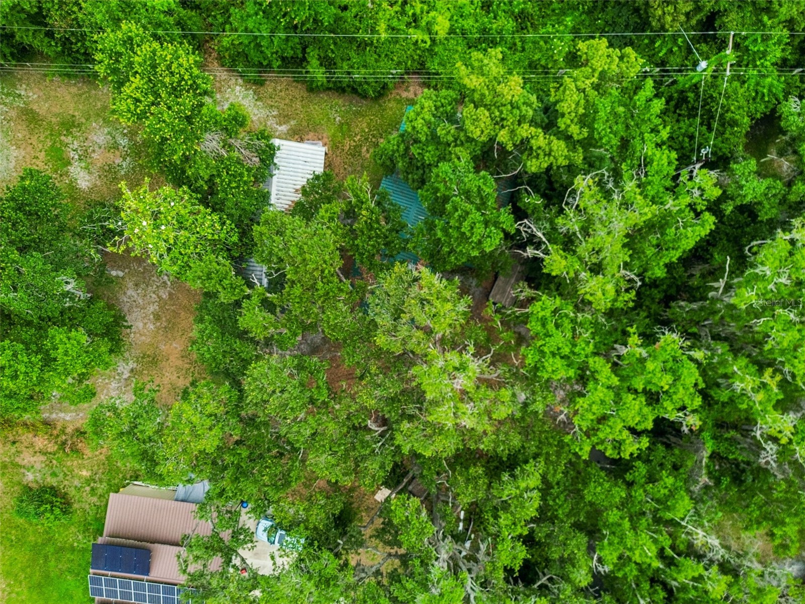 Crescent Lane Lutz FL 33548 TB8514870 image26