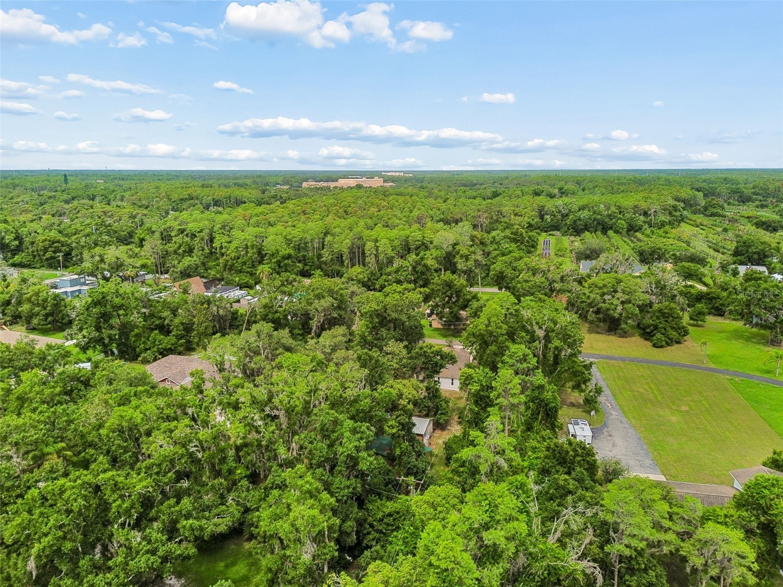 Crescent Lane Lutz FL 33548 TB8514870 image28
