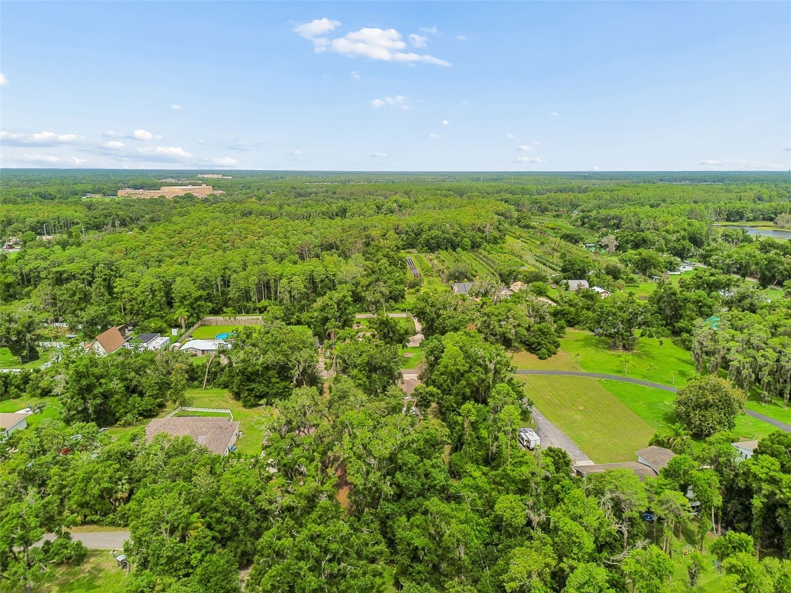 Crescent Lane Lutz FL 33548 TB8514870 image33