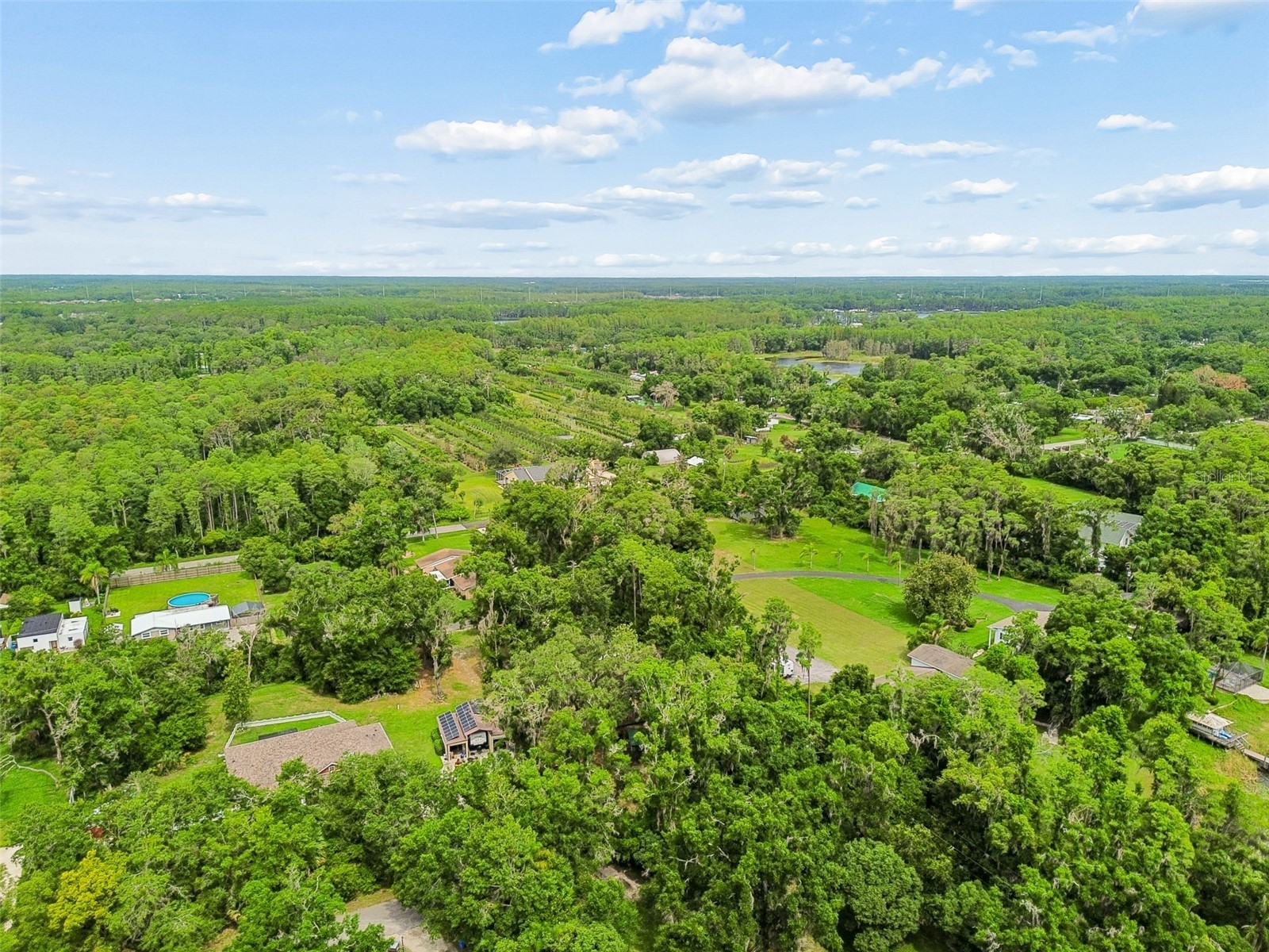Crescent Lane Lutz FL 33548 TB8514870 image34