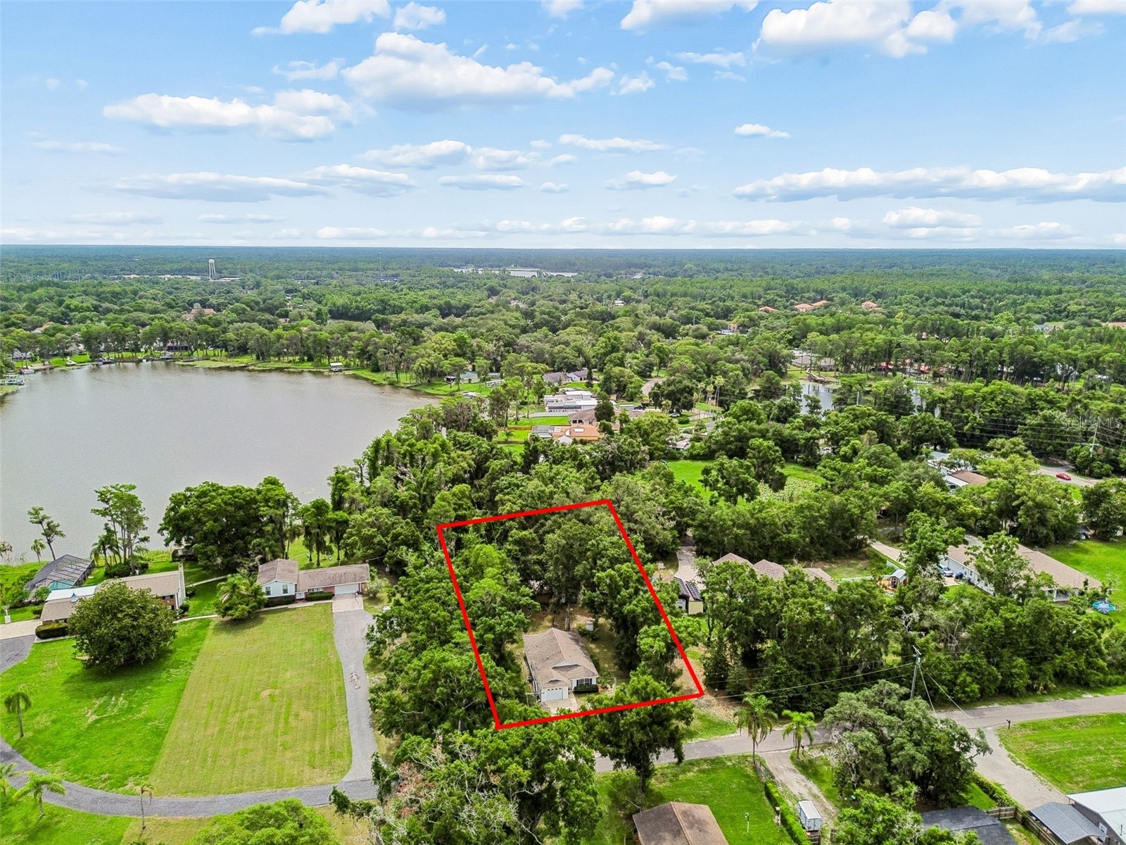 Crescent Lane Lutz FL 33548 TB8514870 image4
