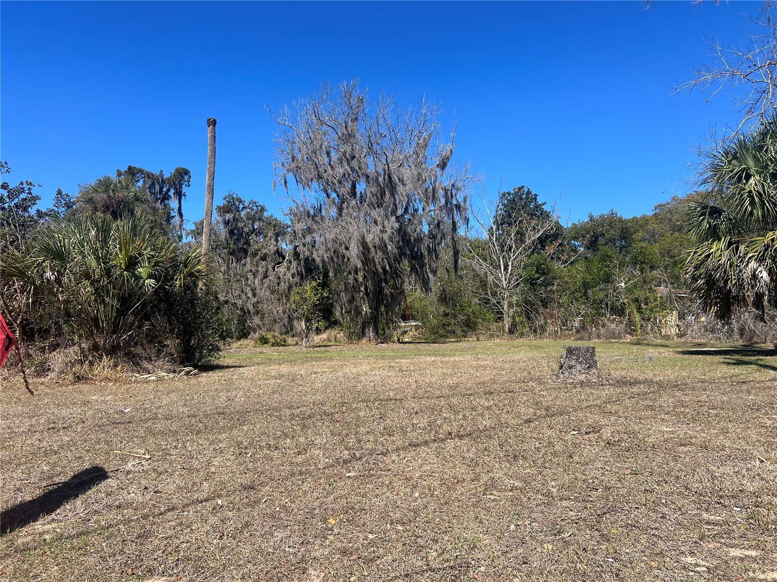 Crest Avenue Leesburg FL 34748 G5108769 image1