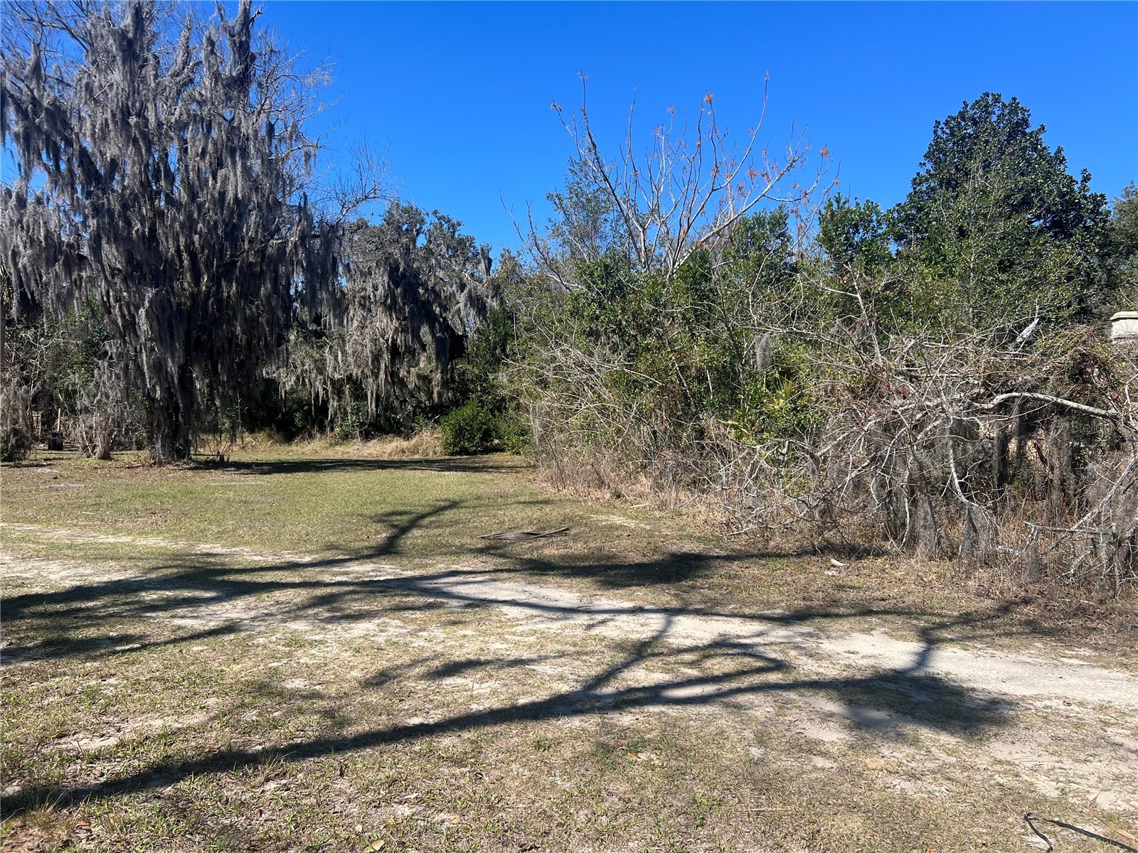 Crest Avenue Leesburg FL 34748 G5108769 image2
