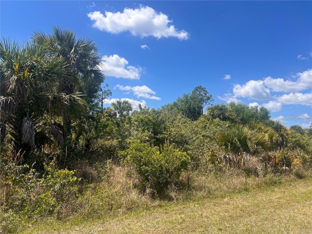 Crimsonglory Road North Port FL 34288 A4661577 image1