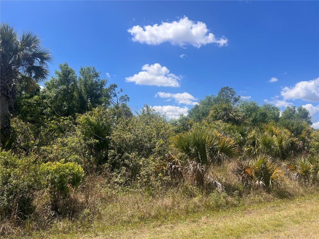 Crimsonglory Road North Port FL 34288 A4661577 image4