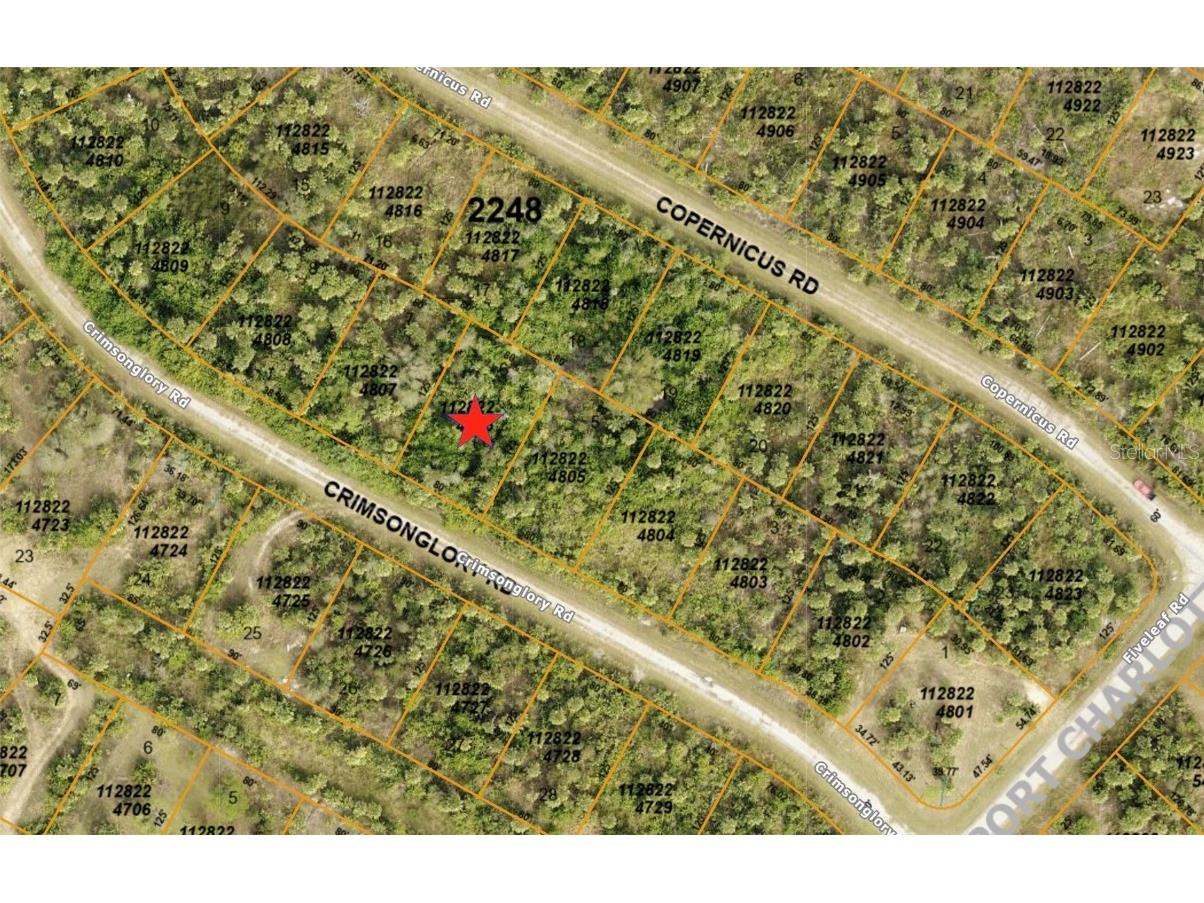 Crimsonglory Road North Port FL 34288 C7495215 image2