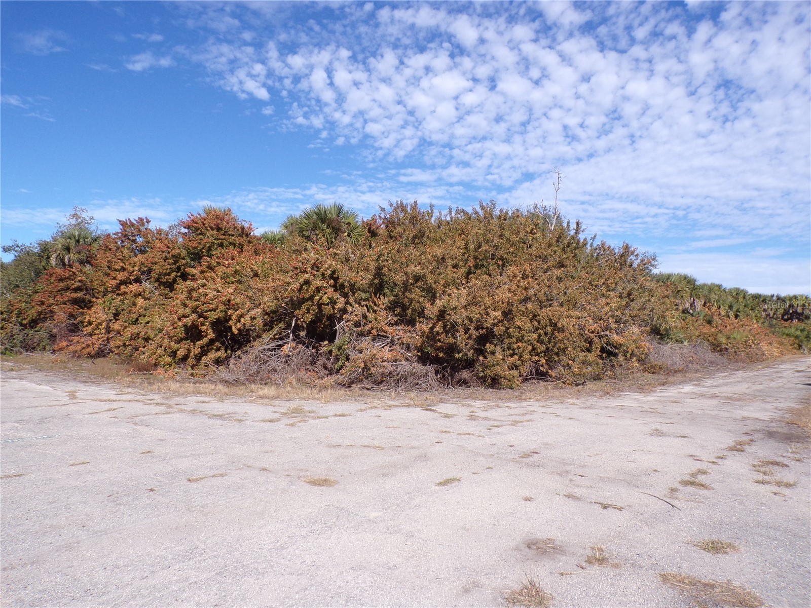 Crimsonglory Road North Port FL 34288 C7521417 image1