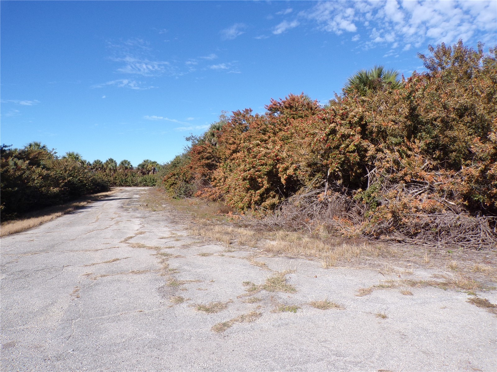 Crimsonglory Road North Port FL 34288 C7521417 image2
