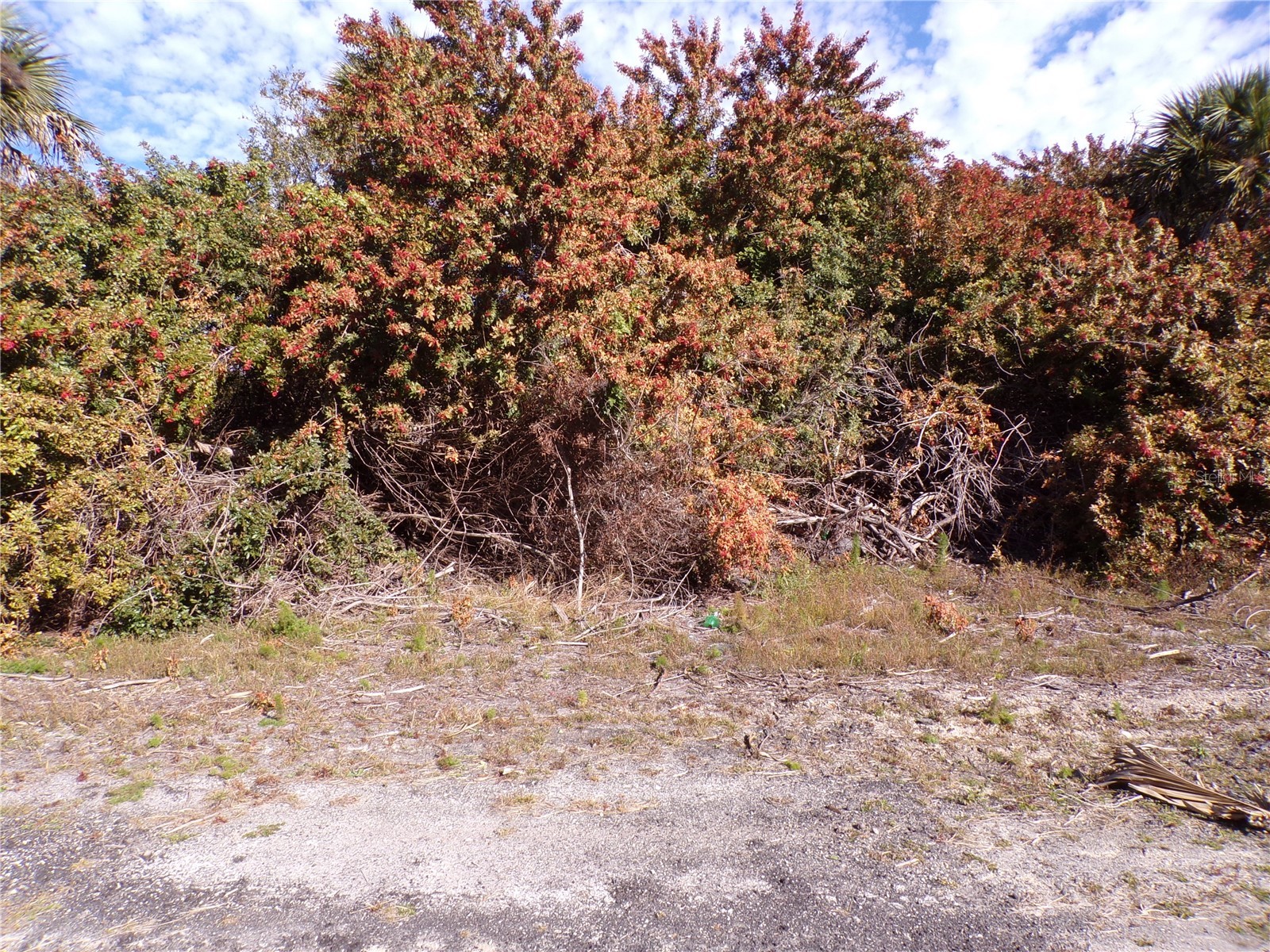 Crimsonglory Road North Port FL 34288 C7521417 image3