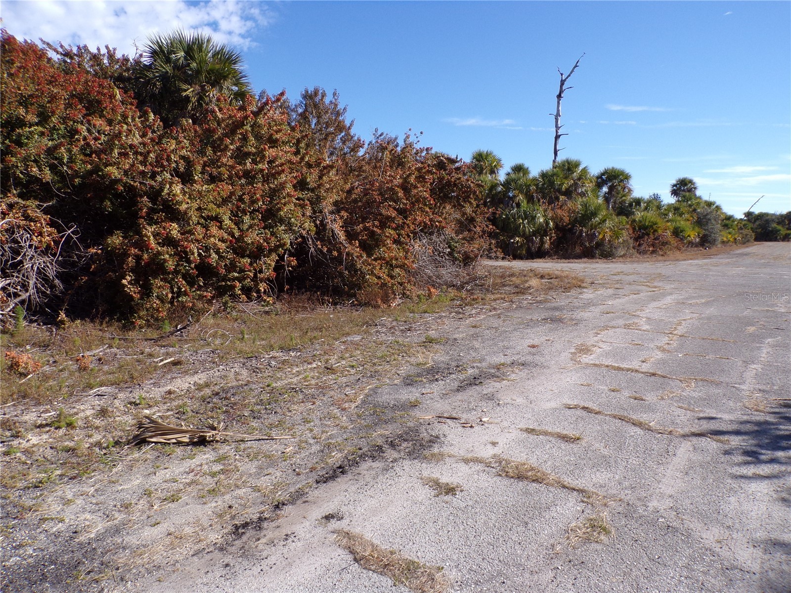 Crimsonglory Road North Port FL 34288 C7521417 image5