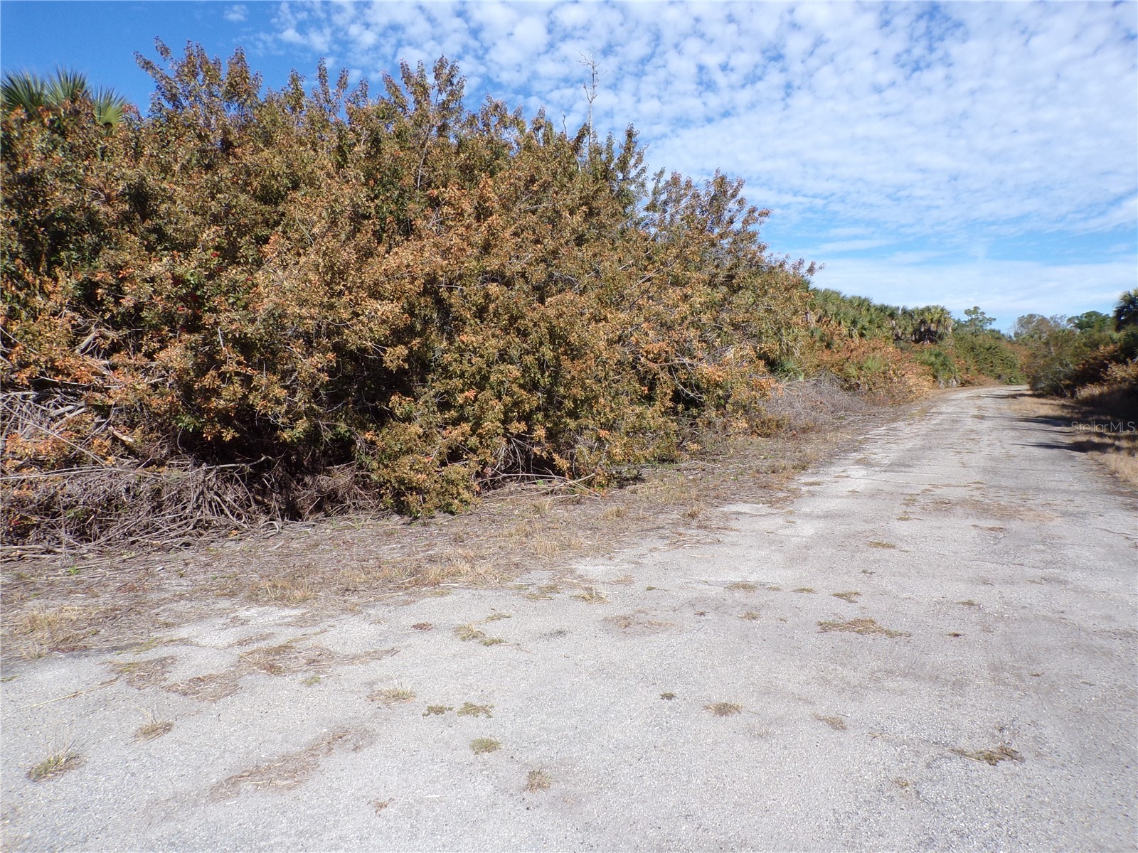 Crimsonglory Road North Port FL 34288 C7521417 image7