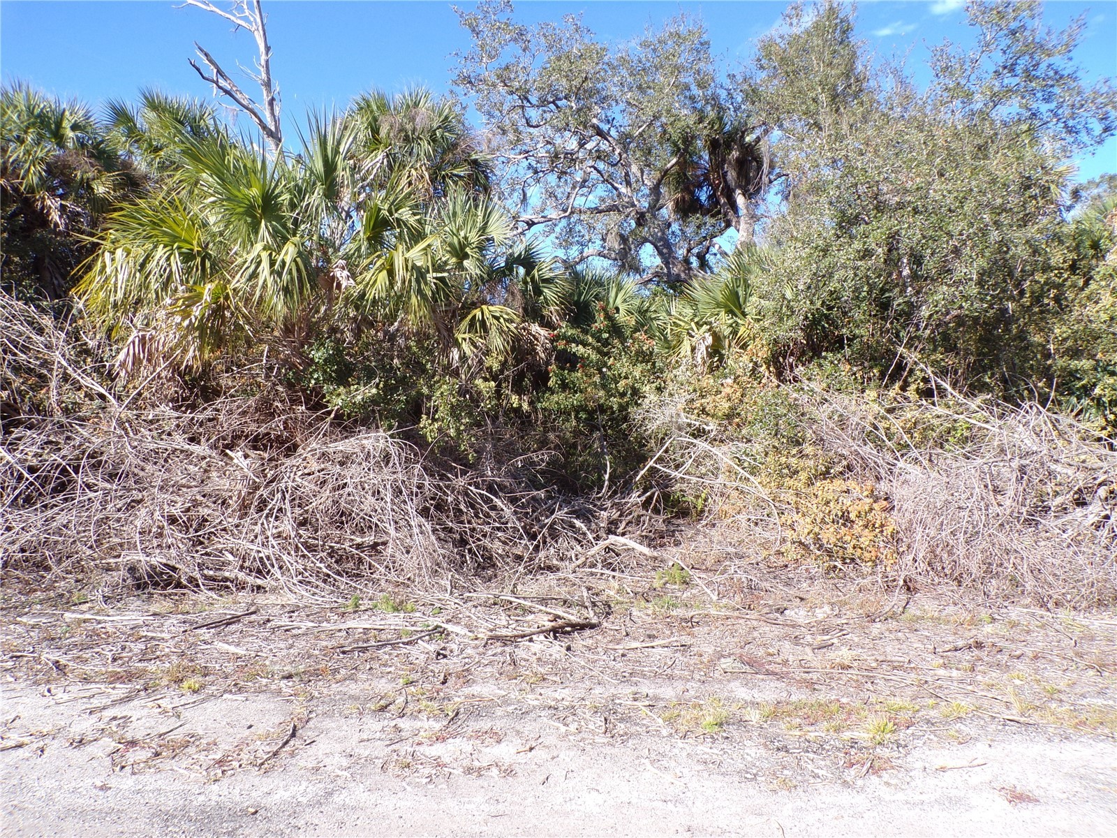 Crimsonglory Road North Port FL 34288 C7521417 image8