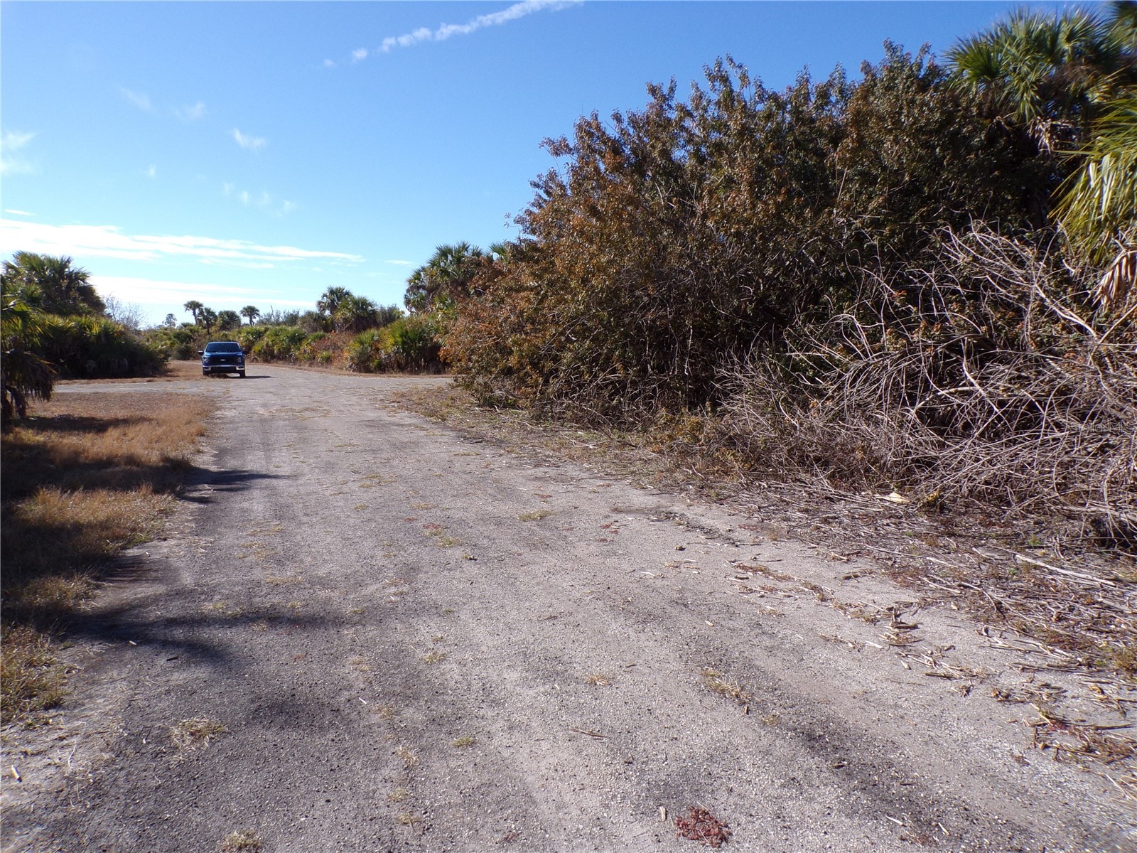 Crimsonglory Road North Port FL 34288 C7521417 image9