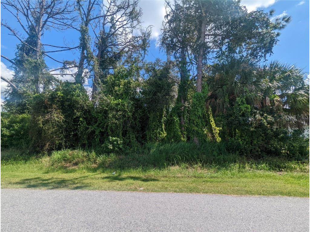 Crittendon Lot 14 Street North Port FL 34286 C7480654 image1