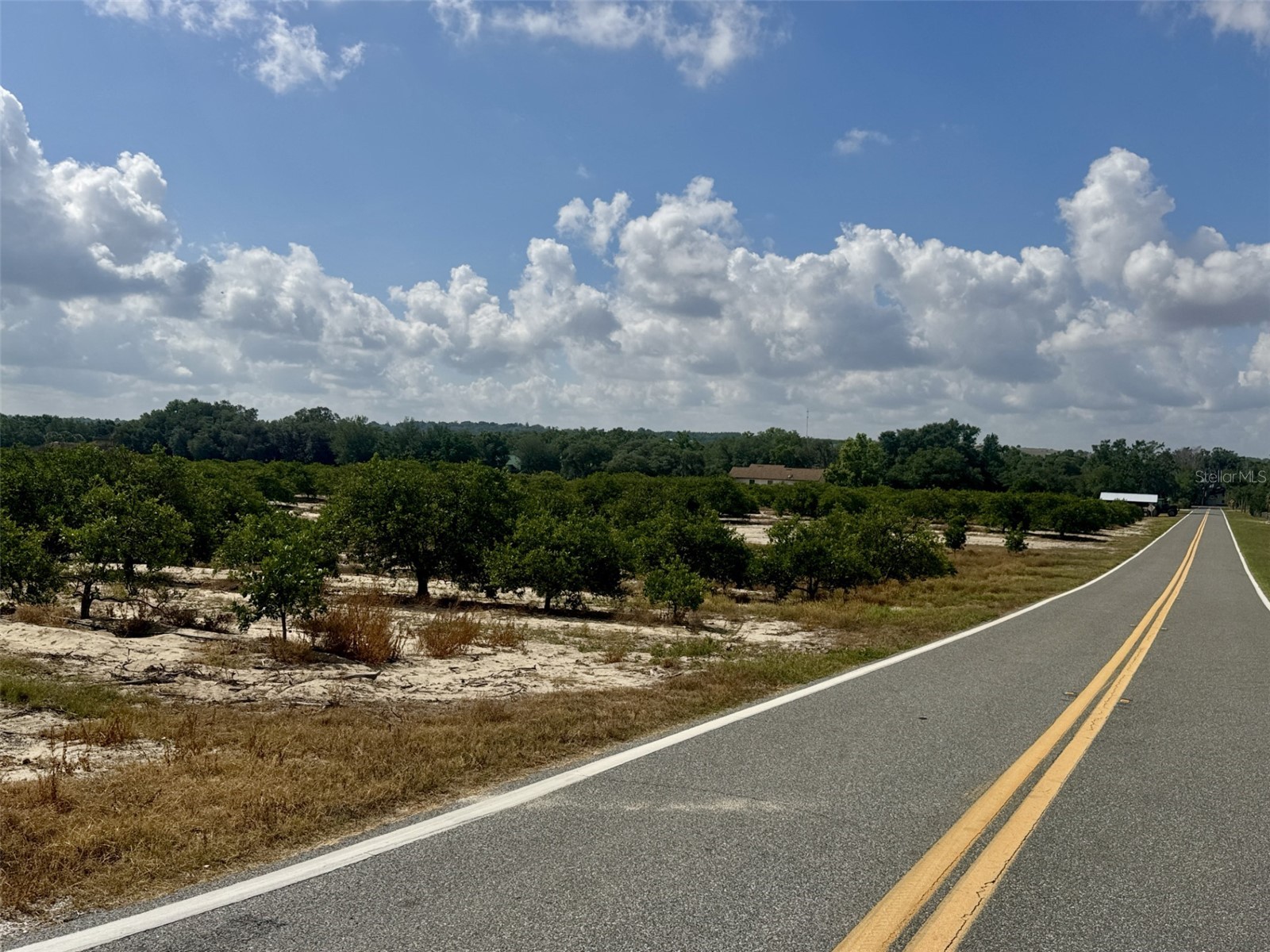 Crooked Lake Drive N Babson Park FL 33827 P4938673 image3